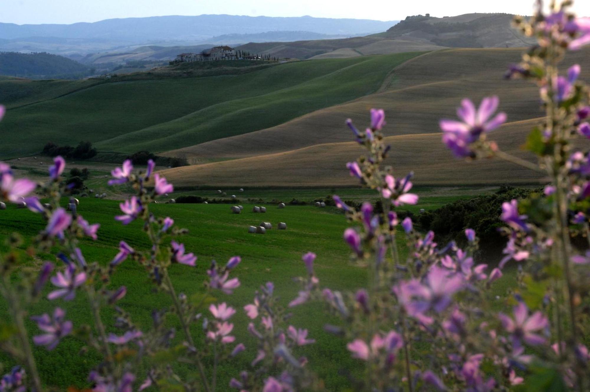 Agrihotel Il Palagetto Volterra Esterno foto